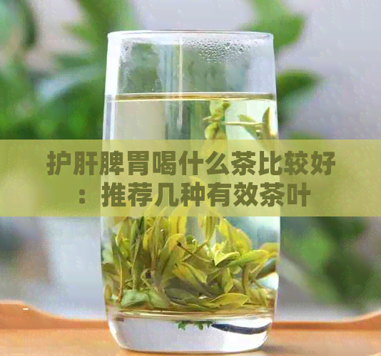 护肝脾胃喝什么茶比较好：推荐几种有效茶叶