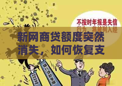 新网商贷额度突然消失，如何恢复支付并解决逾期问题？