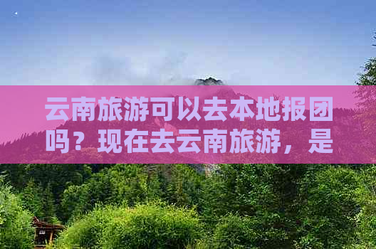 云南旅游可以去本地报团吗？现在去云南旅游，是否可以选择在当地报团呢？