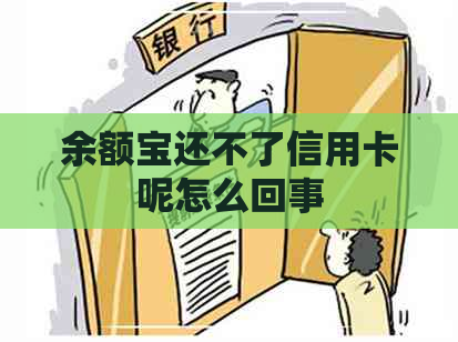 余额宝还不了信用卡呢怎么回事