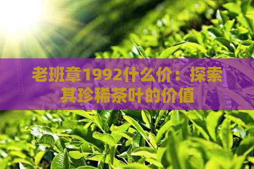 老班章1992什么价：探索其珍稀茶叶的价值