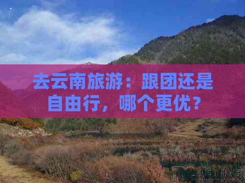 去云南旅游：跟团还是自由行，哪个更优？