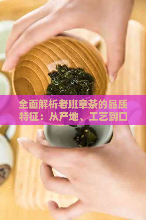 全面解析老班章茶的品质特征：从产地、工艺到口感的深度探讨