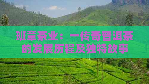 班章茶业：一传奇普洱茶的发展历程及独特故事