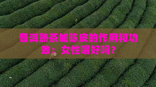 普洱熟茶加陈皮的作用和功效：女性喝好吗？