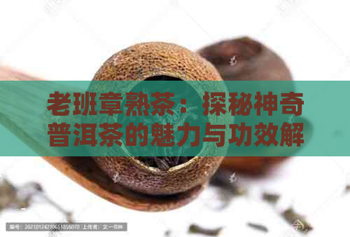 老班章熟茶：探秘神奇普洱茶的魅力与功效解析