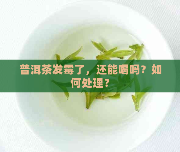 普洱茶发霉了，还能喝吗？如何处理？