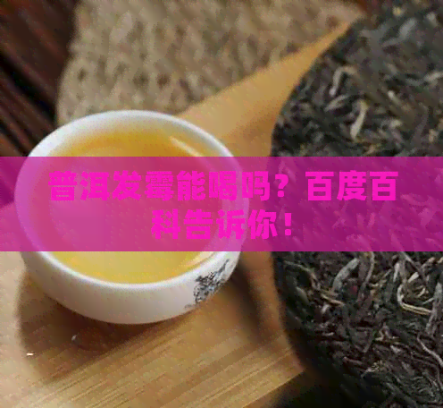 普洱发霉能喝吗？百度百科告诉你！