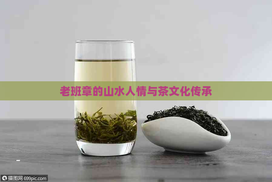 老班章的山水人情与茶文化传承