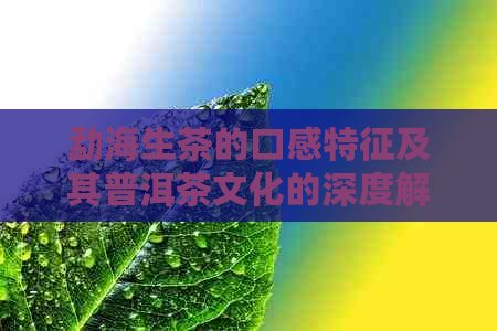 勐海生茶的口感特征及其普洱茶文化的深度解析