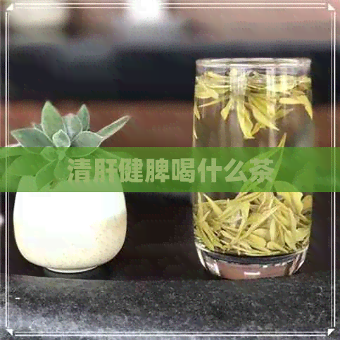 清肝健脾喝什么茶