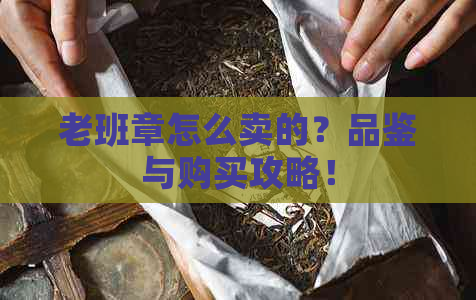 老班章怎么卖的？品鉴与购买攻略！