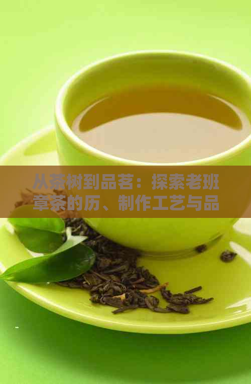 从茶树到品茗：探索老班章茶的历、制作工艺与品鉴技巧