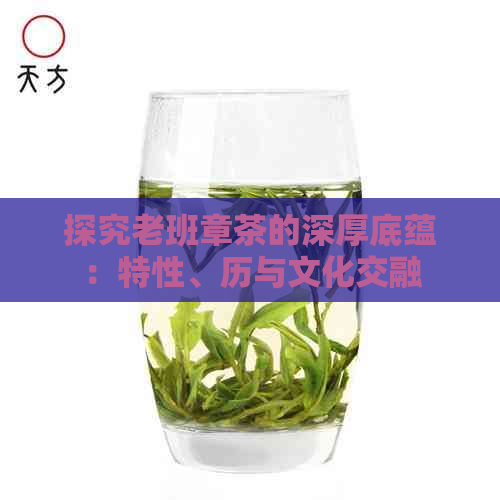 探究老班章茶的深厚底蕴：特性、历与文化交融