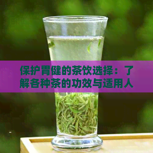 保护胃健的茶饮选择：了解各种茶的功效与适用人群