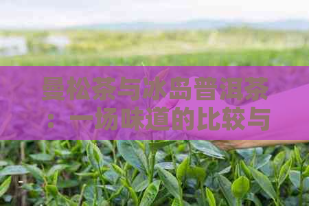 曼松茶与冰岛普洱茶：一场味道的比较与探索