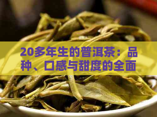 20多年生的普洱茶：品种、口感与甜度的全面解析