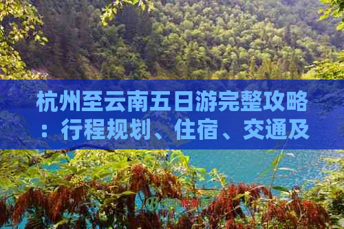 杭州至云南五日游完整攻略：行程规划、住宿、交通及景点推荐一网打尽