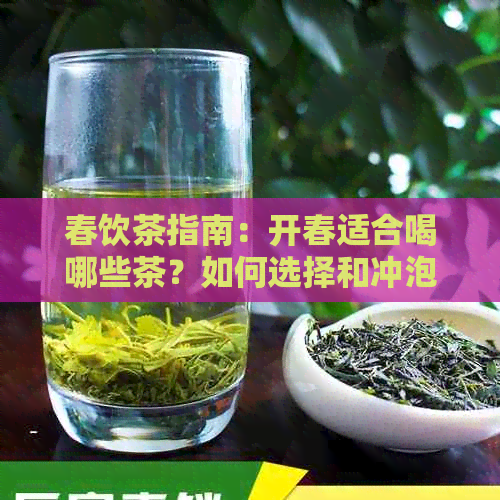 春饮茶指南：开春适合喝哪些茶？如何选择和冲泡？