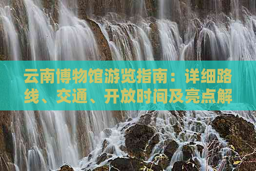 云南博物馆游览指南：详细路线、交通、开放时间及亮点解析