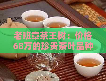 老班章茶王树：价格68万的珍贵茶叶品种，品味与鉴全解析