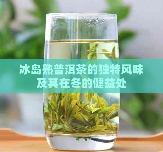 冰岛熟普洱茶的独特风味及其在冬的健益处