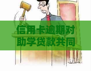 信用卡逾期对助学贷款共同借贷人申请的影响及恢复途径探讨