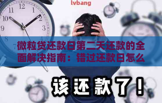 微粒贷还款日第二天还款的全面解决指南：错过还款日怎么办？