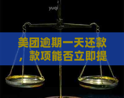 美团逾期一天还款，款项能否立即提取？安全吗？