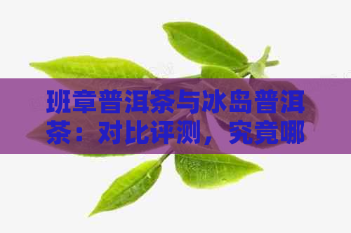 班章普洱茶与冰岛普洱茶：对比评测，究竟哪款更胜一筹？