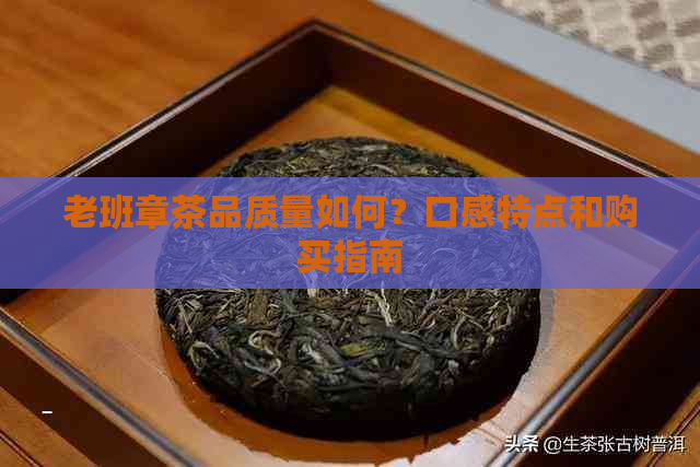 老班章茶品质量如何？口感特点和购买指南