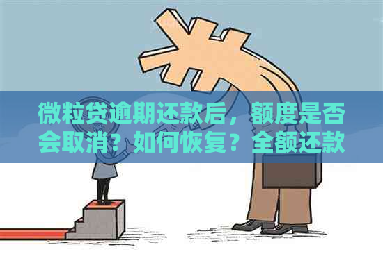 微粒贷逾期还款后，额度是否会取消？如何恢复？全额还款后能否继续使用？