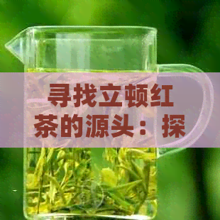 寻找立顿红茶的源头：探究茶叶世界中的佼佼者