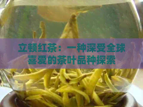 立顿红茶：一种深受全球喜爱的茶叶品种探索