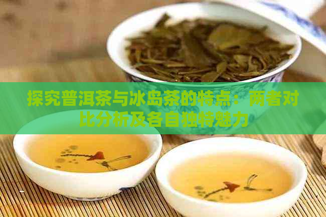 探究普洱茶与冰岛茶的特点：两者对比分析及各自独特魅力