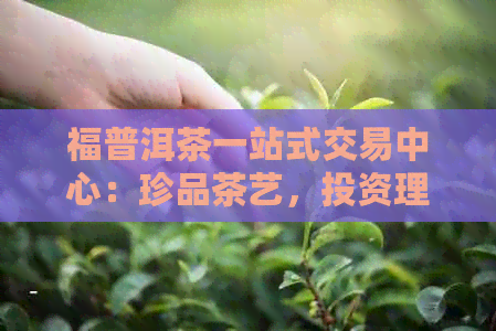 福普洱茶一站式交易中心：珍品茶艺，投资理财两相宜