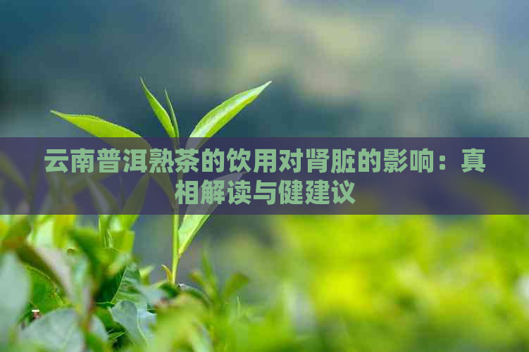 云南普洱熟茶的饮用对肾脏的影响：真相解读与健建议