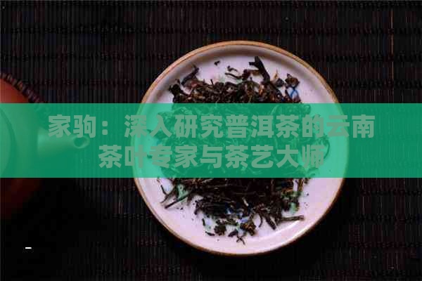 家驹：深入研究普洱茶的云南茶叶专家与茶艺大师