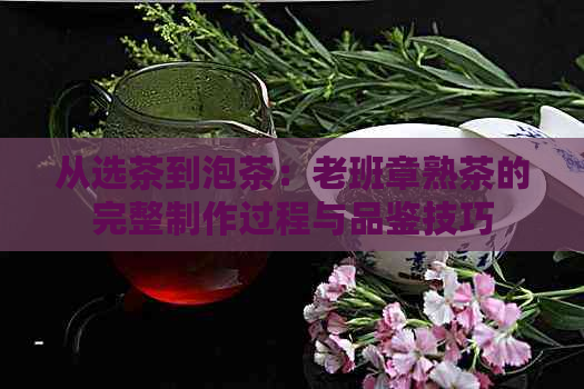 从选茶到泡茶：老班章熟茶的完整制作过程与品鉴技巧