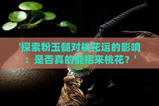 '探索粉玉髓对桃花运的影响：是否真的能招来桃花？'