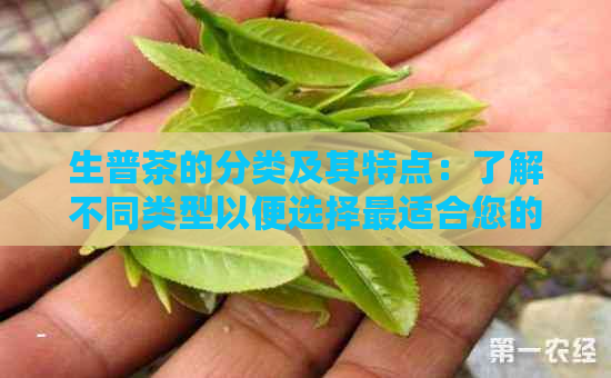 生普茶的分类及其特点：了解不同类型以便选择最适合您的茶叶