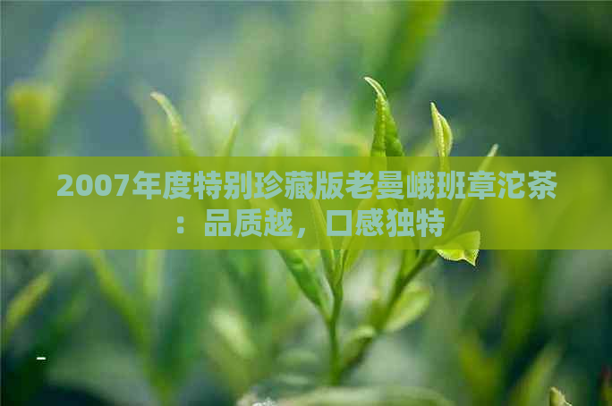 2007年度特别珍藏版老曼峨班章沱茶：品质越，口感独特