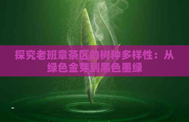 探究老班章茶区的树种多样性：从绿色金芽到黑色墨绿