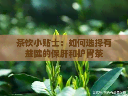 茶饮小贴士：如何选择有益健的保肝和护胃茶