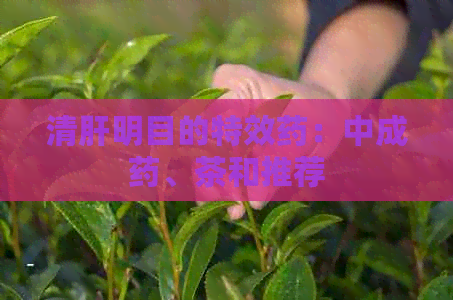 清肝明目的特效药：中成药、茶和推荐