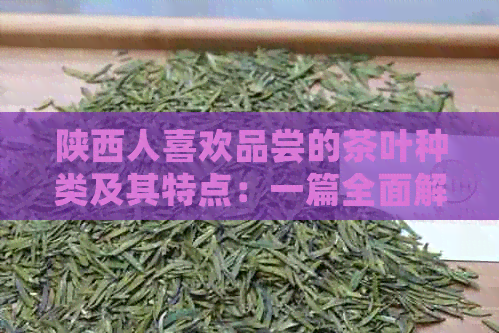 陕西人喜欢品尝的茶叶种类及其特点：一篇全面解析与推荐