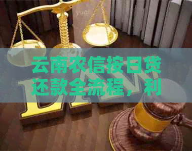 云南农信按日贷还款全流程，利息怎么还？还了可以马上再贷吗？