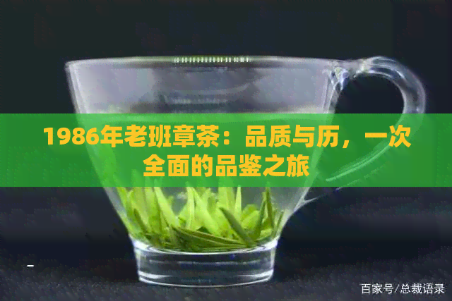 1986年老班章茶：品质与历，一次全面的品鉴之旅