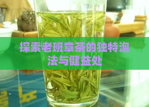 探索老班章茶的独特泡法与健益处