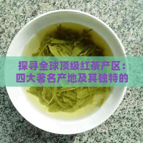 探寻全球顶级红茶产区：四大著名产地及其独特的山茶植物魅力